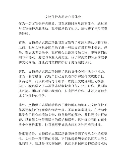 文物保护志愿者心得体会