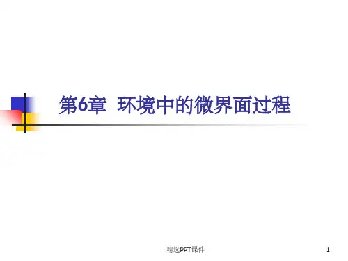 第6章环境中的微界面过程PPT课件