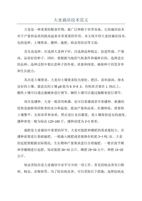 大麦栽培技术范文