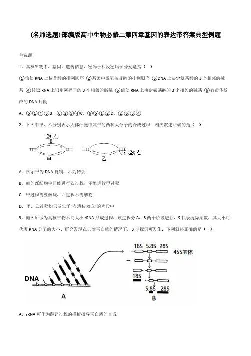 部编版高中生物必修二第四章基因的表达带答案典型例题
