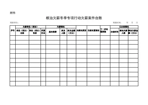 根治欠薪冬季专项行动欠薪案件台账