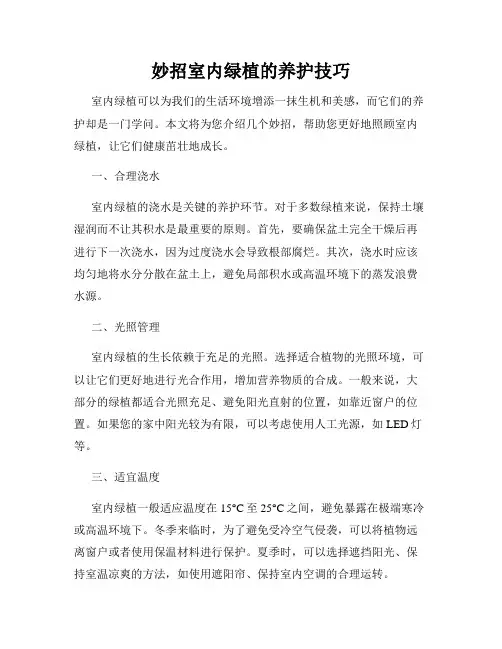 妙招室内绿植的养护技巧