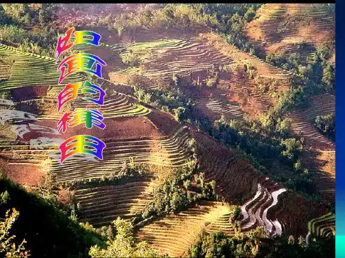 第二课 第二课时 如画的梯田