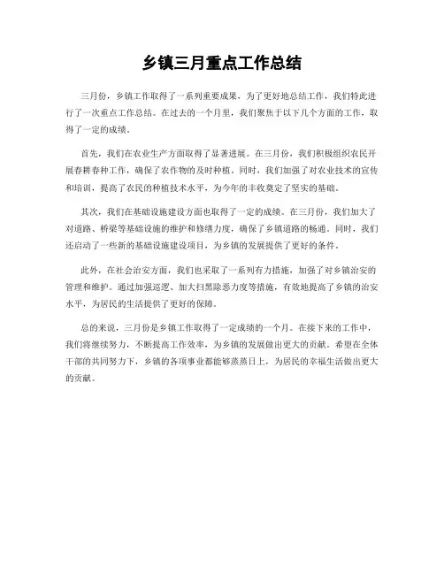 乡镇三月重点工作总结