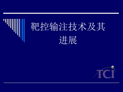 靶控输注技术及其进展讲义