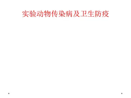 实验动物传染病及卫生防疫