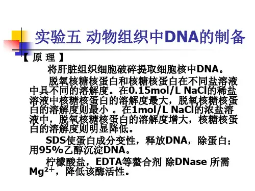 动物医学 生化实验《实验五  动物组织中DNA的制备》课件