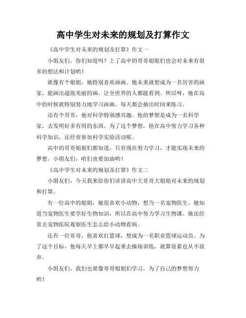 高中学生对未来的规划及打算作文