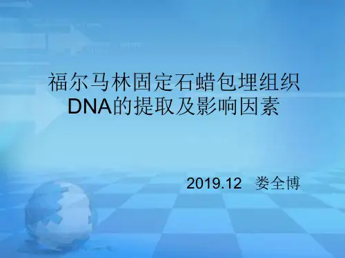 石蜡包埋组织的DNA提取及影响因素