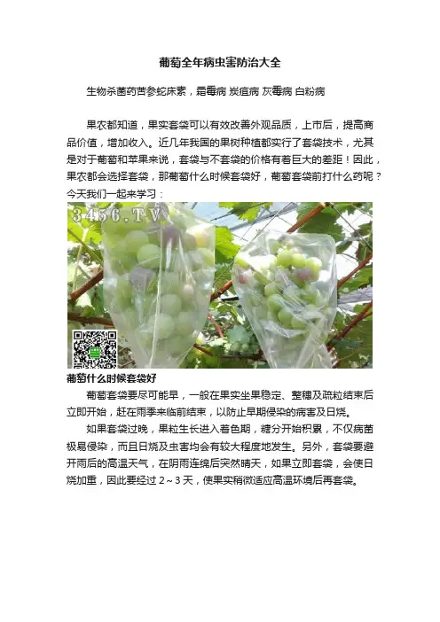 葡萄全年病虫害防治大全