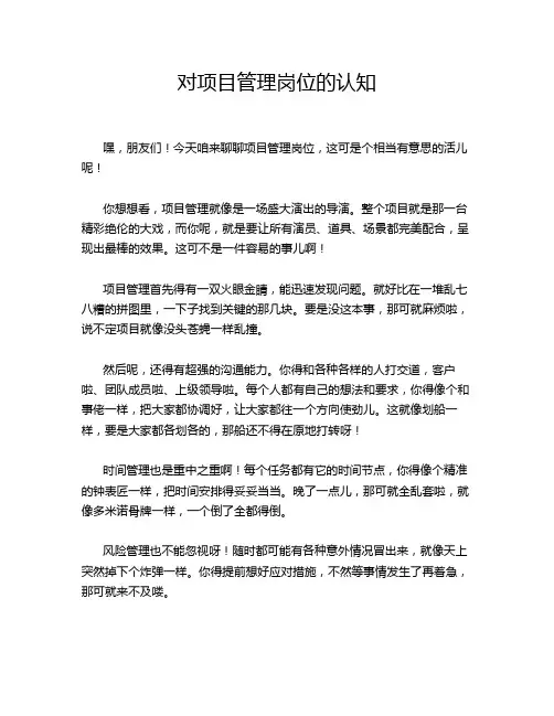 对项目管理岗位的认知