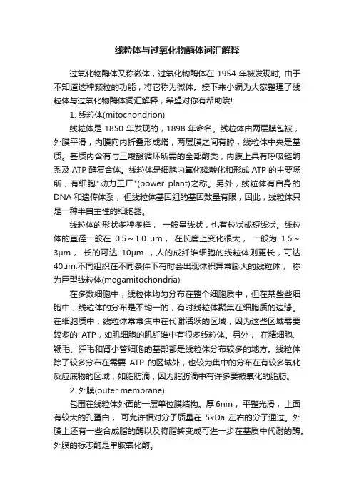 线粒体与过氧化物酶体词汇解释