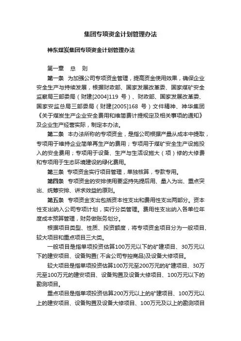 集团专项资金计划管理办法