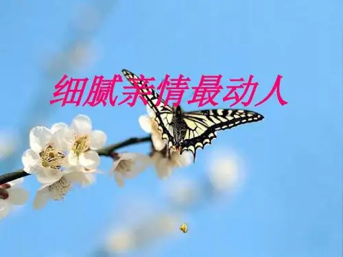 【初中作文】初中作文指导：细腻亲情最动人ppt