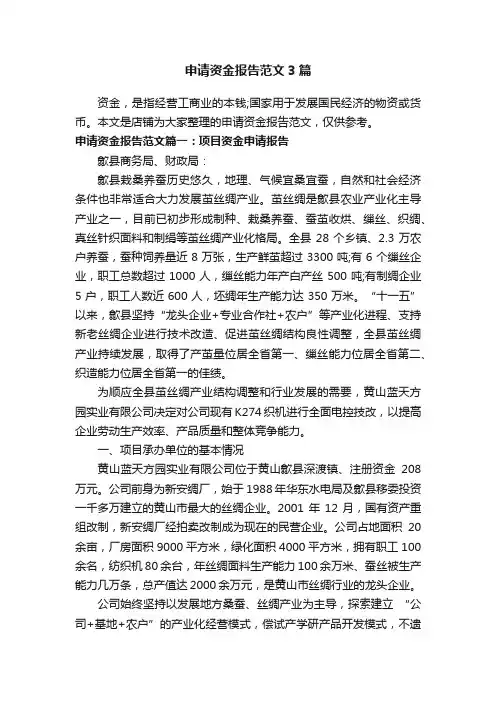 申请资金报告范文3篇