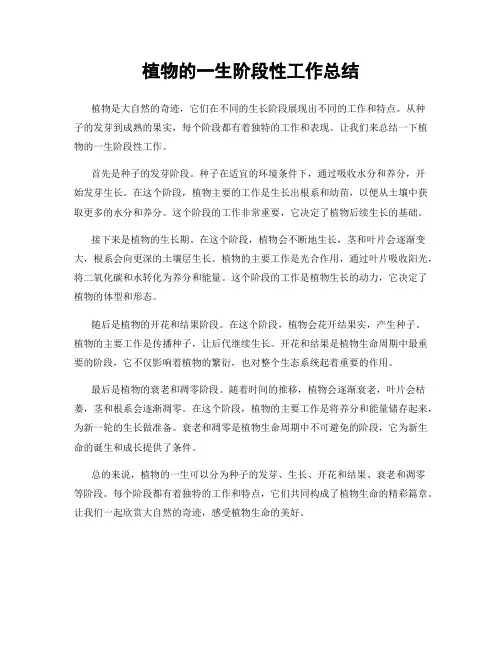 植物的一生阶段性工作总结