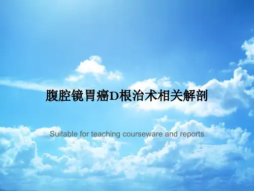 腹腔镜胃癌D根治术相关解剖