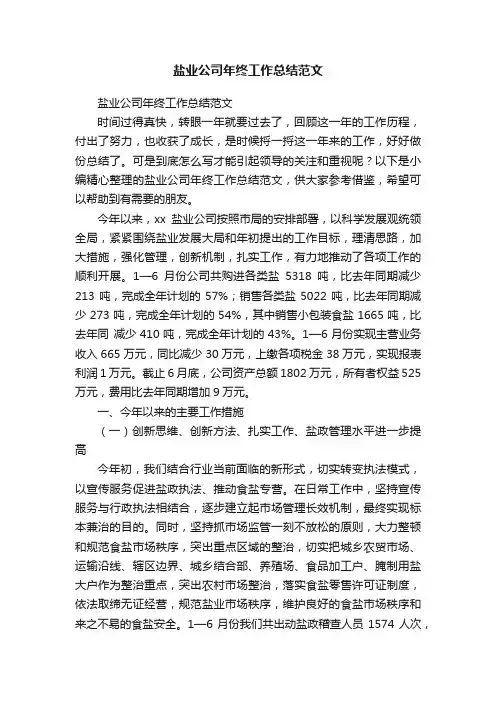 盐业公司年终工作总结范文