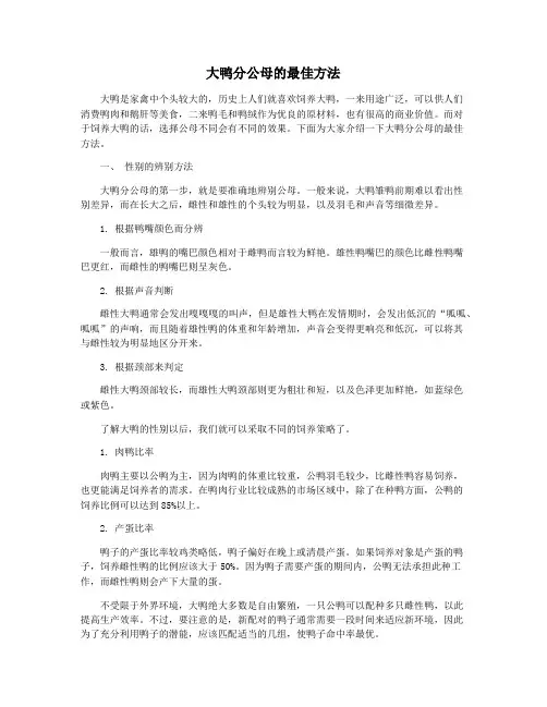 大鸭分公母的最佳方法