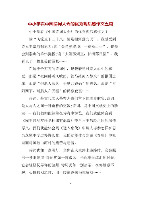 中小学看中国诗词大会的优秀观后感作文五篇