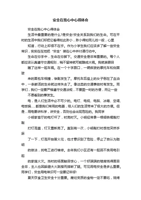 安全在我心中心得体会
