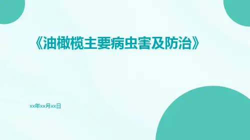 油橄榄主要病虫害及防治