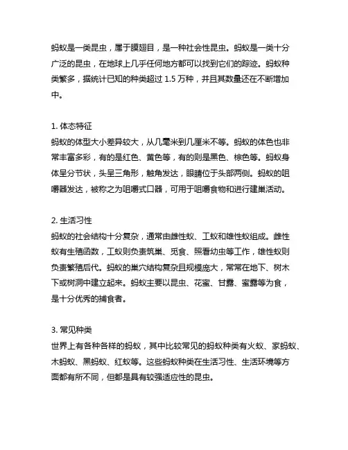 蚂蚁的资料简介500字,用上说明方法