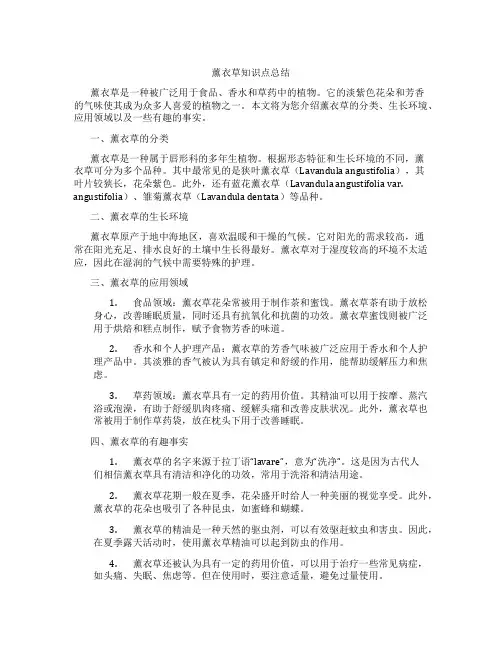 薰衣草知识点总结