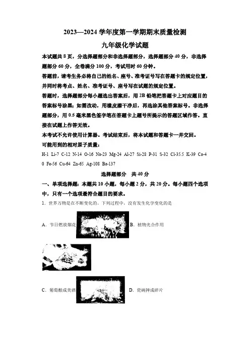 山东省济南市历城区2023-2024学年九年级上学期 化学期末考试题(含解析)