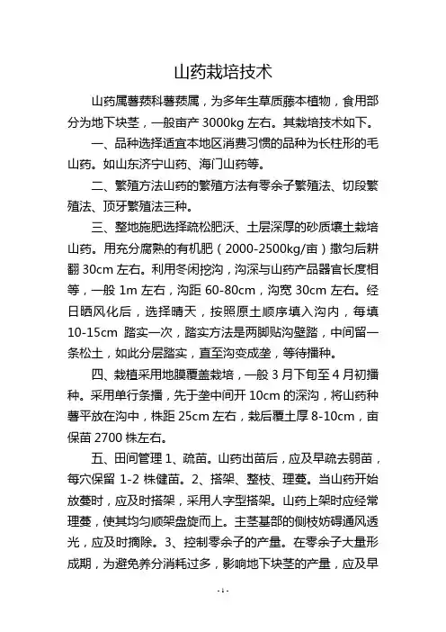山药栽培技术--