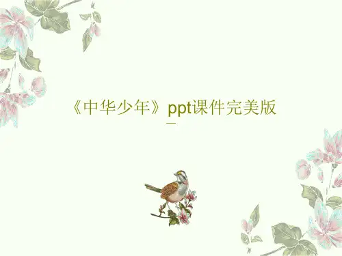 《中华少年》ppt课件完美版共46页