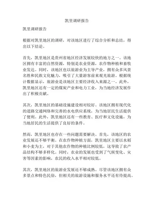 凯里调研报告