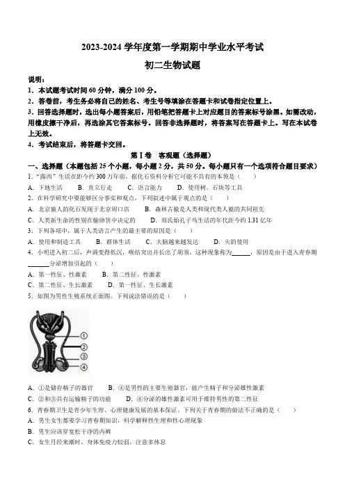 山东省烟台市蓬莱区(五四制)2023-2024学年七年级上学期期中考生物试题(含答案)