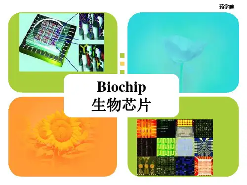 生物芯片综述报告