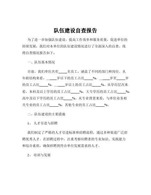 队伍建设自查报告