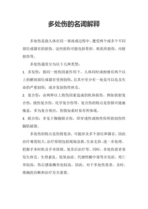 多处伤的名词解释