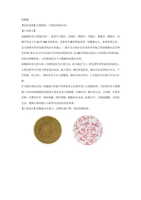 绿僵菌功能简介