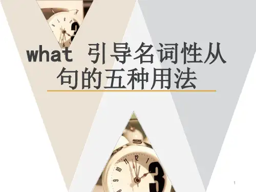 what引导名词性从句的用法