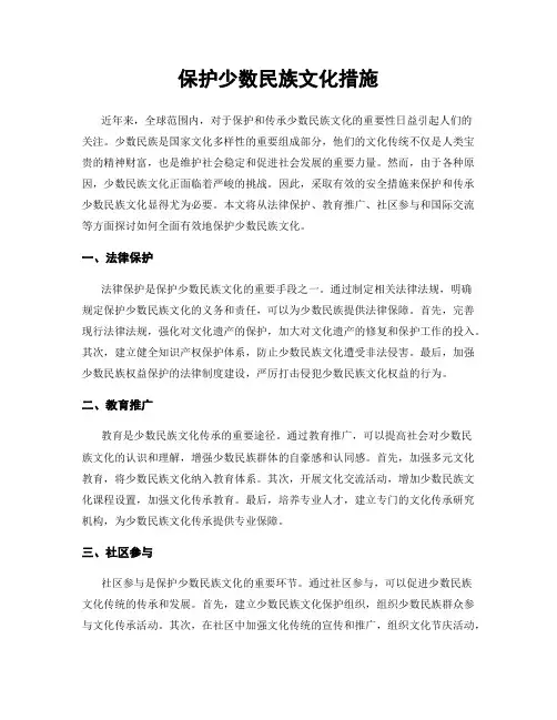 保护少数民族文化措施