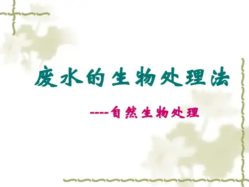 污水的自然生物处理