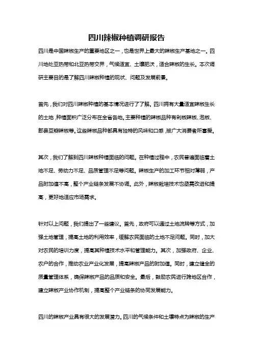 四川辣椒种植调研报告