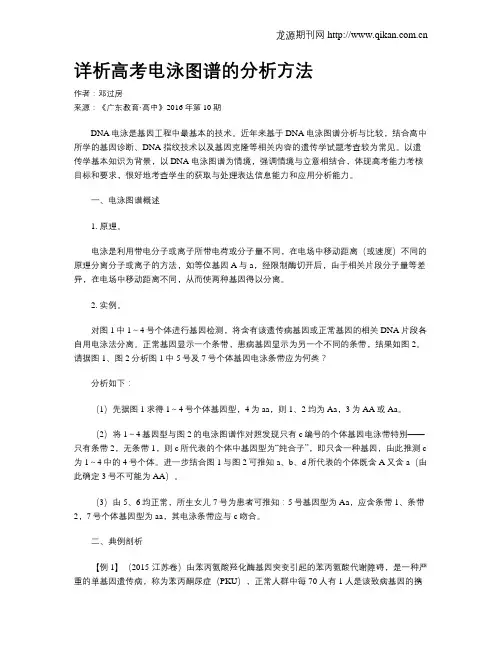 详析高考电泳图谱的分析方法