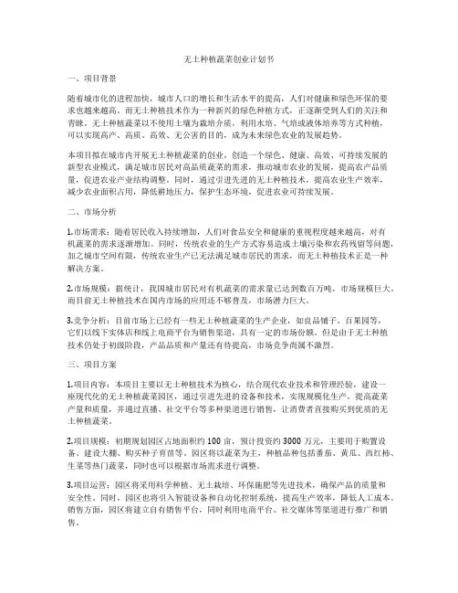 无土种植蔬菜创业计划书