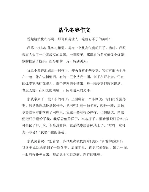 沾化冬枣作文