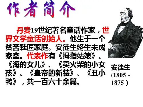 七年级语文下册-丑小鸭-人教新课标版PPT课件