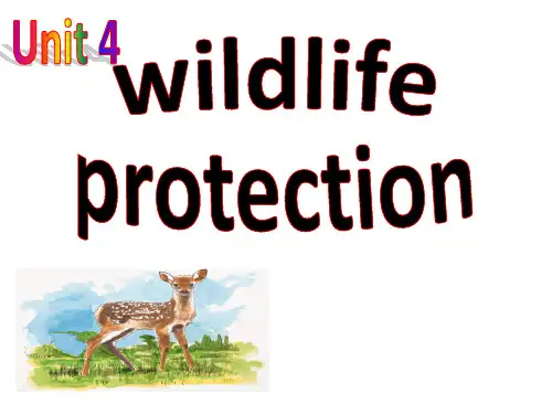 人教版高中英语 必修二 Unit4 《Wildlife  protection  ---Warming up and reading》 课件 (共30张ppt)(