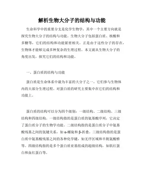 解析生物大分子的结构与功能