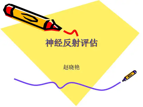 神经反射评估