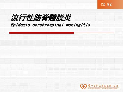 流行性脑脊髓膜炎-精品医学课件