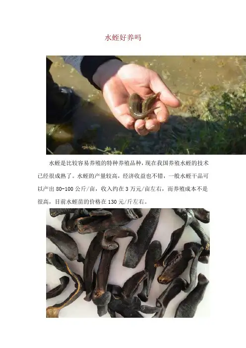 水蛭好养吗